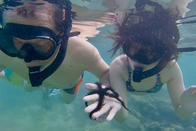 Guided Snorkel Tour for Beginners in Honolulu - Price and value: is $59 a fair deal?