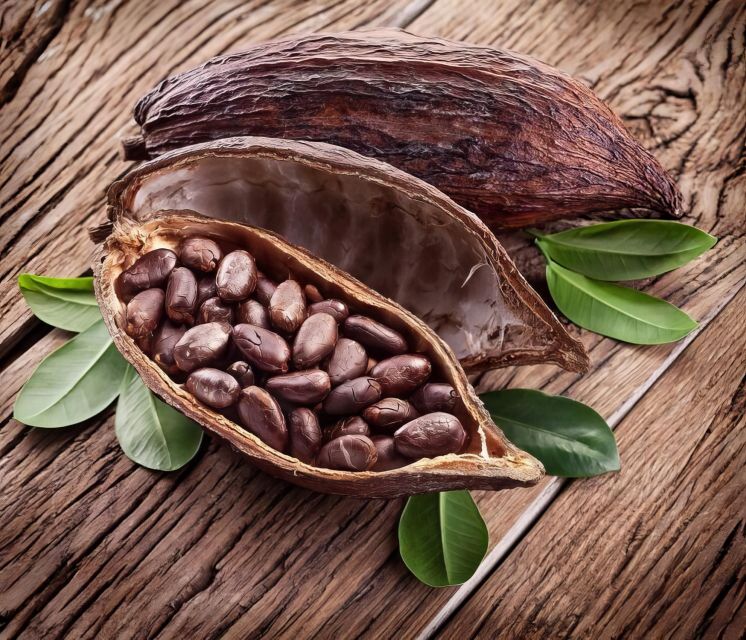 Haiku: Waterfall, Rainforest, and Handcrafted Chocolate Tour - Snacks, Samples, and Charity-Powered Good Feeling