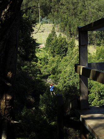 Haleakala 6 Line Zipline Adventure - What the Guides Teach You Between Flying Moments