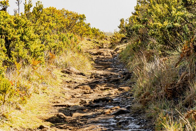 Haleakala Crater Hiking Experience - Stop 2: toward 10,000 feet, cinder cones, and that quiet crater feeling