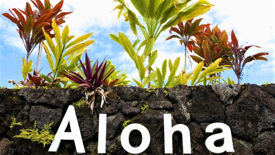 Haleakala Daytime Self-Guided Express Bike Tour w/ Bike Maui - Kona bikes, helmets, rain gear, and backpacks: gear that earns its place
