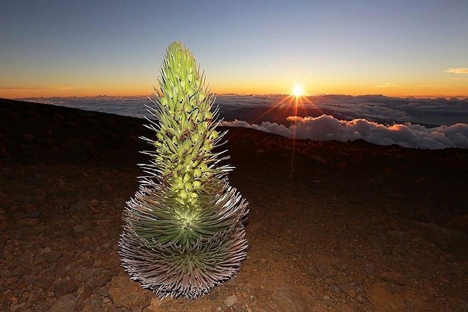 Haleakala Maui Sunset Twilight Tour with Dinner - The Crater Overlook at 9,740 Feet: Where the Volcano Takes Over