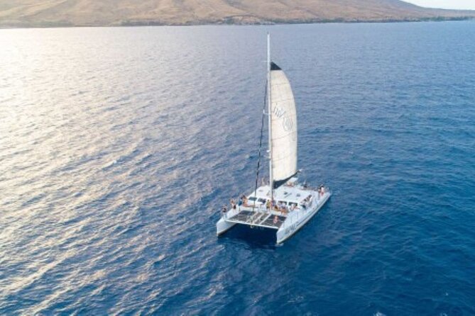 Half-Day Deluxe Molokini Snorkel Excursion in Maui - Maui to Molokini: the early start from Maalaea Harbor