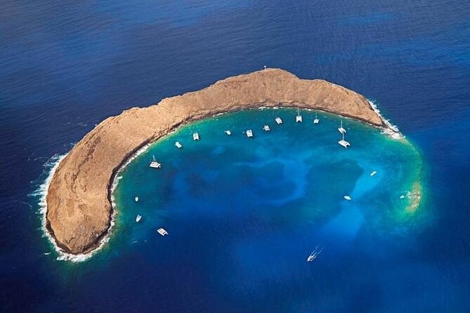 Half-Day Deluxe Molokini Snorkel Excursion in Maui - Breakfast, lunch, and the sparkling & spritz bar plan