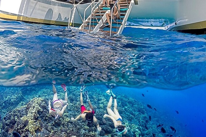Half-Day Deluxe Molokini Snorkel Excursion in Maui - Photos by a pro: how to get your memories without confusion