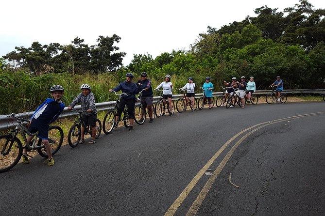 Half Day Oahu Combo Adventure: Bike, Sail and Snorkel - The viewpoint stops: where Waikiki shows up from above