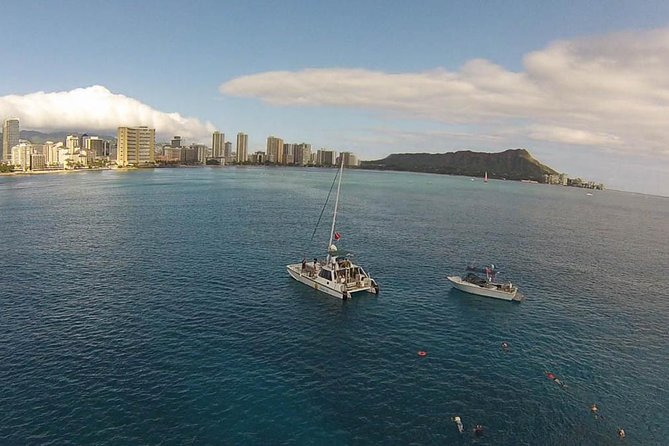 Half Day Oahu Combo Adventure: Bike, Sail and Snorkel - Wildlife you might see: turtles, dolphins, and whales when timing is right