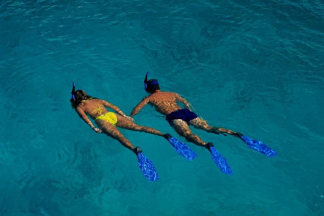 Half Day Oahu Combo Adventure: Bike, Sail and Snorkel - Tantalus bike route: the 5-mile downhill that most people remember