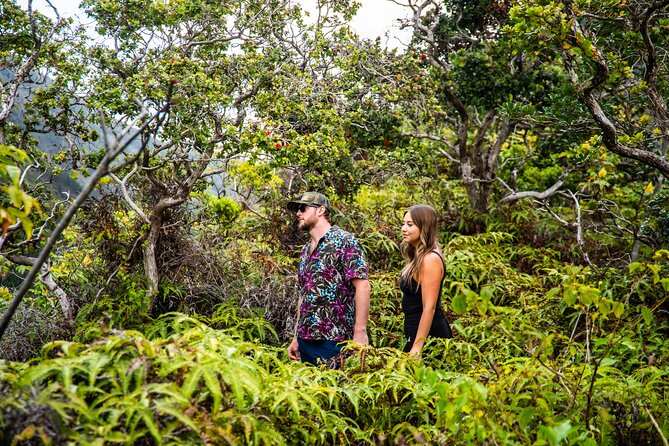 Half Day Private VIP Road to Hana Tour - The Route: Paia to Waiʻānapanapa (The Best Hits in 4–5 Hours)