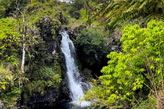 Half Day Private VIP Road to Hana Tour - The Best Type of Traveler for This Half-Day