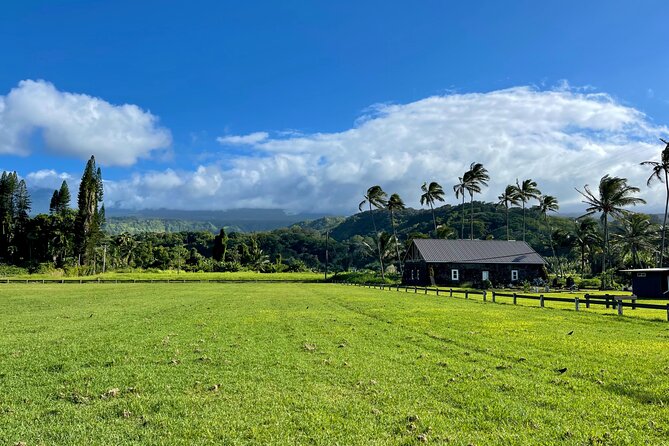 Half Day Private VIP Road to Hana Tour - Half-Day vs Full-Day: When You’ll Wish You Had More Hours