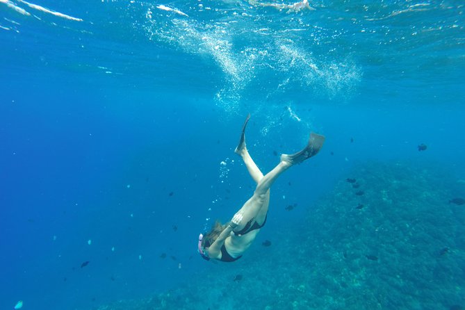 Half Day Snorkel to Lanai from Kaanapali Beach + Dolphin Search - Kaanapali to Lanai: Why this half-day format works