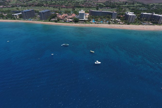Half Day Snorkel to Lanai from Kaanapali Beach + Dolphin Search - Sea turtle odds and how to set expectations