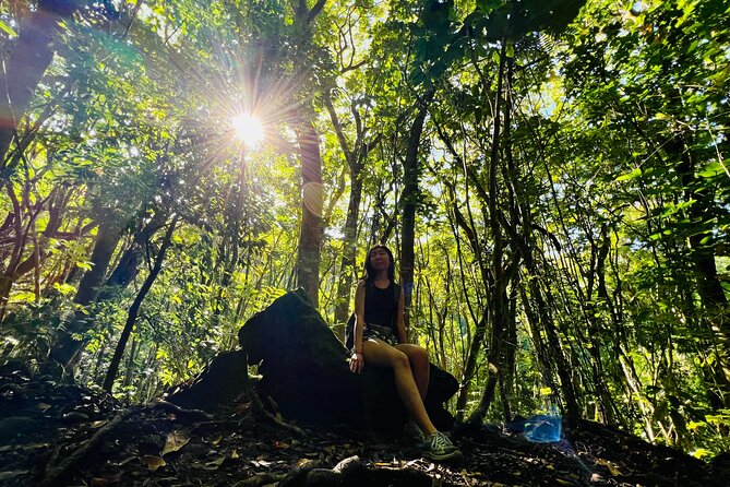 Half-Day Waterfall Tour - Hike, Scenic, Food and Photo - Pickup in Waikiki and Why the Small Group Matters