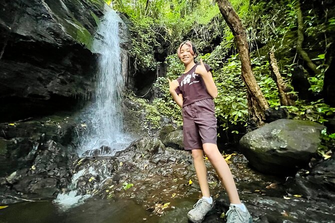 Half-Day Waterfall Tour - Hike, Scenic, Food and Photo - Tantalus Lookout After the Hike: City Views as a Reward