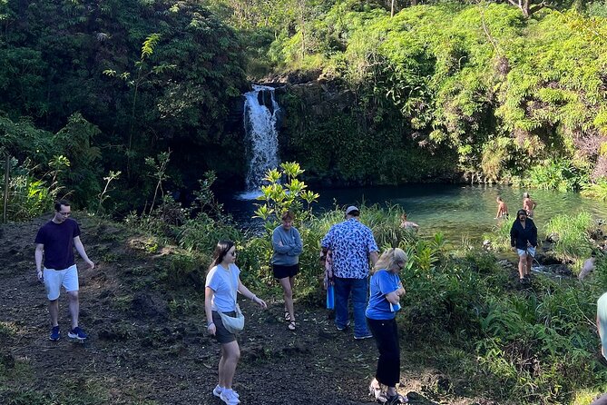 Halfway Road to Hana - Small Group — Taste of Hana & Waterfalls - The van ride: comfort matters on 200+ hairpin turns