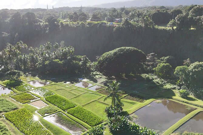 Halfway Road to Hana - Small Group — Taste of Hana & Waterfalls - Ke‘anae Point and the Halfway Snack Stand energy