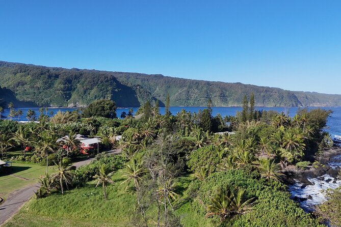 Halfway Road to Hana - Small Group — Taste of Hana & Waterfalls - Aunty Sandy’s Banana Bread: yes, it’s a stop for a reason