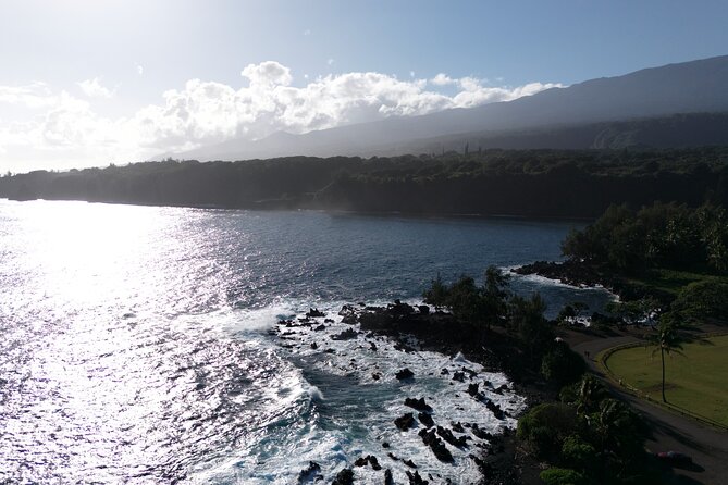 Halfway Road to Hana - Small Group — Taste of Hana & Waterfalls - Rainbow Eucalyptus and Bamboo Forest: the quick rainforest hits