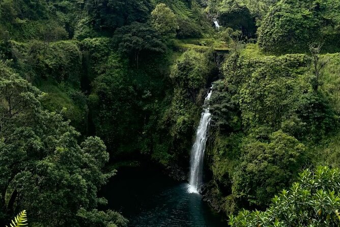 Halfway Road to Hana - Small Group — Taste of Hana & Waterfalls - Meeting point, pickup windows, and what that means for your morning
