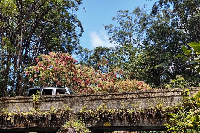 Halfway to Hana Tour of Maui Black Sand Beach Waterfalls Turtles - Plantation-era town vibes and a waterfall you may only see from a bridge