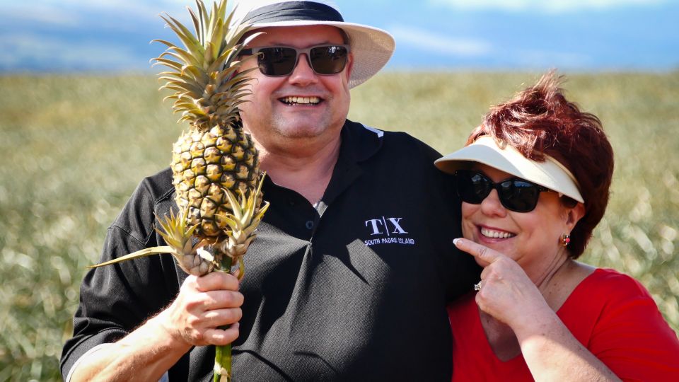 Hali'imaile: Pineapple Farm Tour - The working-farm walk: what the pineapples are doing
