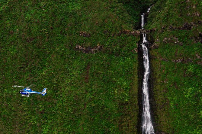 Hana Rainforest Scenic Helicopter Tour - Who should book this Hana Rainforest Scenic Helicopter Tour?