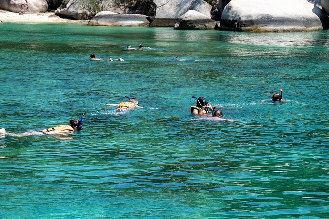 Hanauma Bay Snorkel - Your Snorkel Route From the Shore: Fish, Reef, and Honu