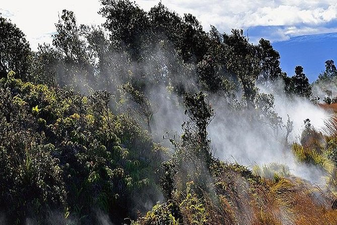 Hawaii Volcanoes National Park Experience Departing from Oahu - Greenwell Farms: Kona coffee with real volcanic roots