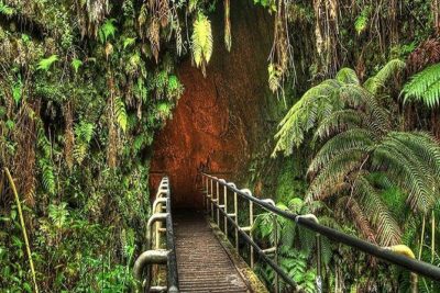 Hawaii Volcanoes National Park Experience from Kauai - Manuka State Wayside Park: a quieter walk before the big sights