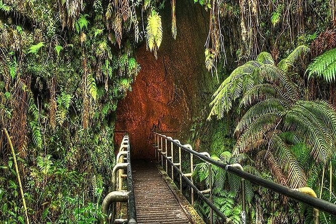 Hawaii Volcanoes National Park Experience From the Big Island - Price and value: why $139 can feel like a bargain or not