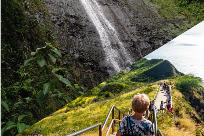 Hawaiian Beauty Package - Manoa Falls: rainforest footing and a real change in scenery