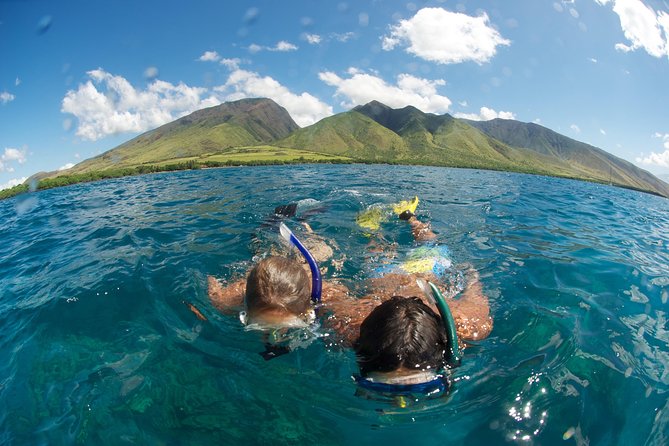 Hawaiian Outrigger Canoe Cultural and Turtle Tour - Price and Value: Is $155 Worth an Hour on the Water?
