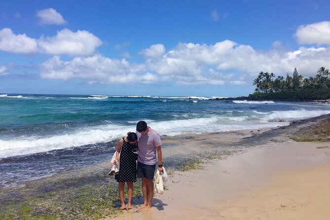 Hawaii's Best Private Build-Your-Tour Charter Service - Price and Value: $350 per Group Works Best When You Fill the Vehicle