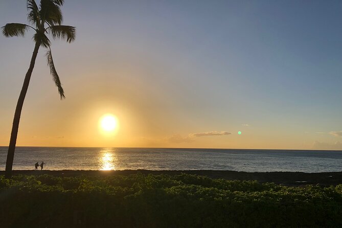 Hawaii's Best Private Build-Your-Tour Charter Service - Quick-Stop Viewpoints That Work Great in a Busy 4–8 Hour Day