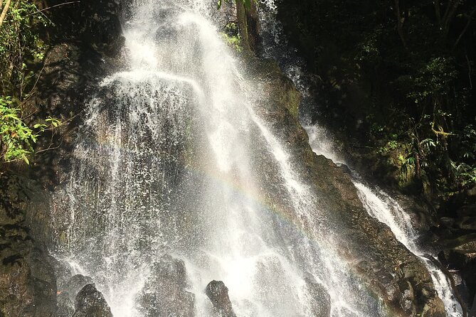 Hidden Hawaii Tours - Who this tour fits best (and who might want something else)
