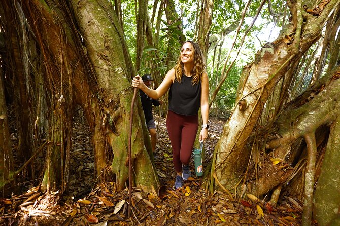 Hike Honolua Ridgeline - Getting there: Lahaina meeting point and the 9:00 start