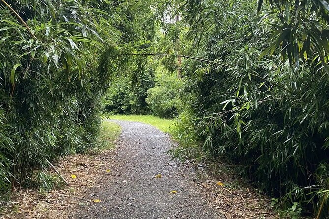 Hike to a Tropical Waterfall - pick up included - Waikiki Pickup That Gets You Into Nature Faster