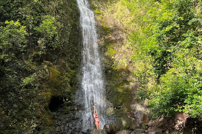 Hike to a Tropical Waterfall - pick up included - Reaching the Waterfall: Why the Route Feels Part of the Fun