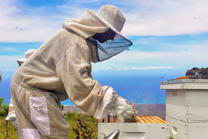 Honey Bee Adventure at the Maui Honey Bee Sanctuary - Honey Bee Adventure at Maui Honey Bee Sanctuary: Why This Tour Works