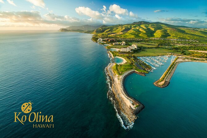 Honolulu Airport & Ko Olina Hotels Private Transfer by Minivan (up to 5 people) - Flight timing and delays: how the handoff stays calm