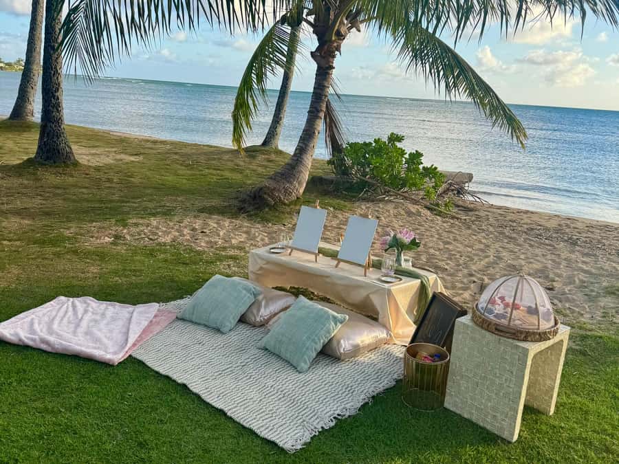 Honolulu: Beachside Luxury Picnic & Paint - Beachside Art Meets a Real Honolulu Picnic