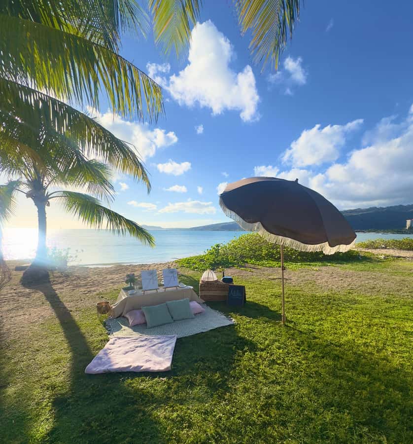 Honolulu: Beachside Luxury Picnic & Paint - Price and Value: What $97 Really Buys