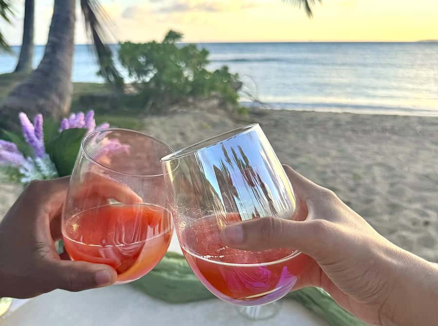 Honolulu: Beachside Luxury Picnic & Paint - Who This Honolulu Beach Painting Day Is Best For