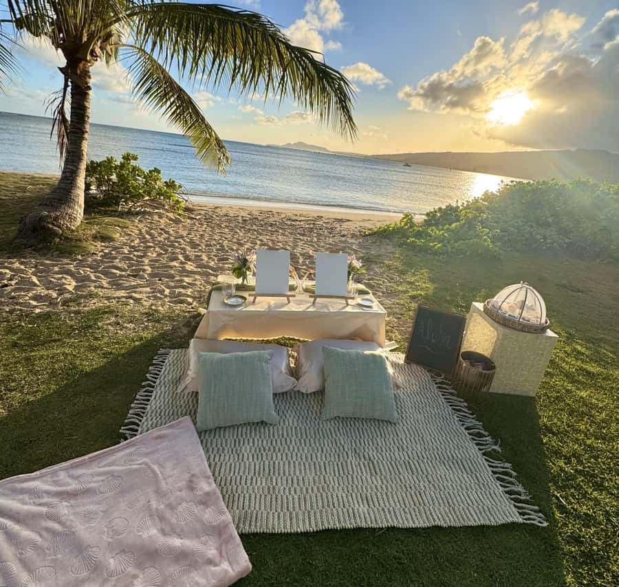 Honolulu: Beachside Luxury Picnic & Paint - Should You Book This Tour or Skip It?