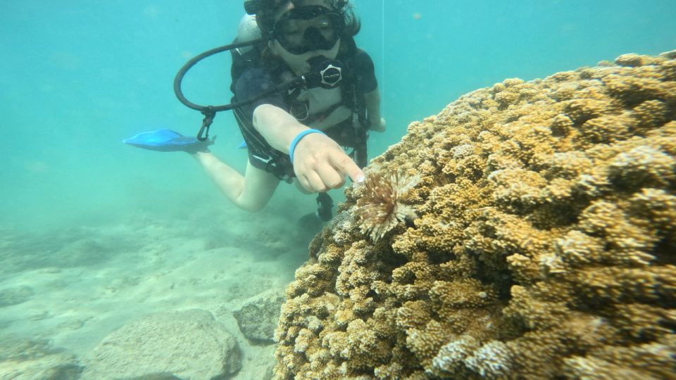 Honolulu: Beginner Scuba Diving Tour With Free Videos - Magic Island Lagoon: A beginner-friendly spot by Waikiki