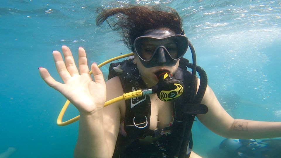 Honolulu: Beginner Scuba Diving Tour With Free Videos - Timing and meeting point: how to get there without stress