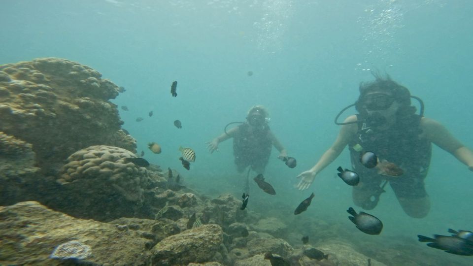 Honolulu: Beginner Scuba Diving Tour With Free Videos - The best souvenir: videos plus local perspective