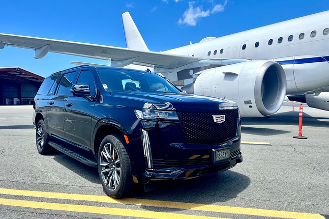 Honolulu Business Airport Transfer to/from Hotel, Cruise - Key Things to Know Before You Go