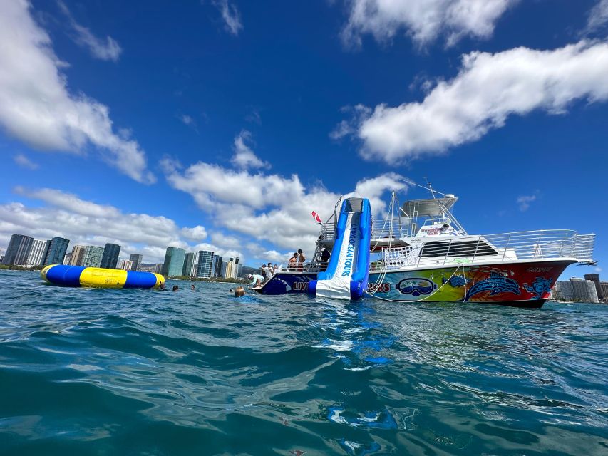 Honolulu: Deluxe Waikiki Snorkel and Wildlife Cruise - Key things I’d focus on before you go